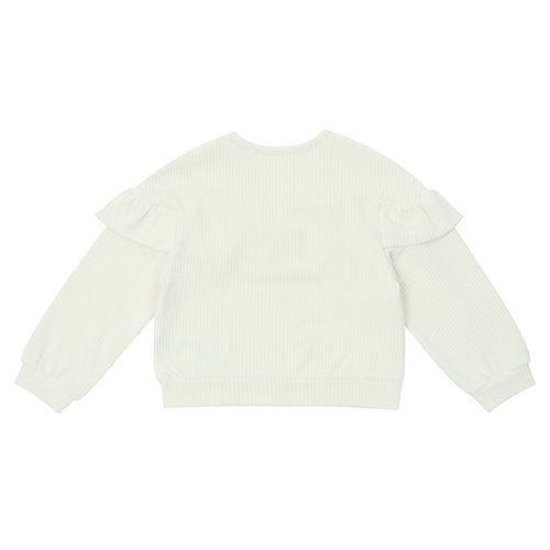 IMAGE2