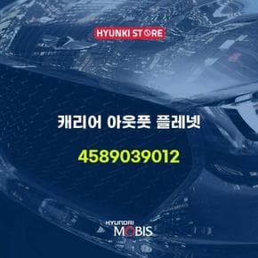 현대모비스캐리어 아웃풋 플레넷 (4589039012)