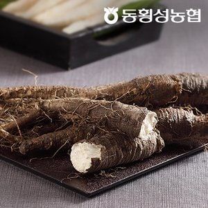 동횡성농협 강원도 더덕 800gX5 (생더덕)