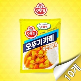  [오뚜기] 오뚜기 카레 약간 매운맛 1kg x 10개