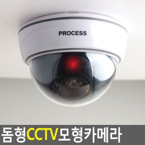 모형카메라 모형카메라cctv 모형씨씨티비 보급형 LED 돔형 가짜CCTV