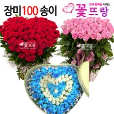 [꽃뜨랑] 100송이꽃바구니백송이 꽃다발 생일선물 당일꽃배달