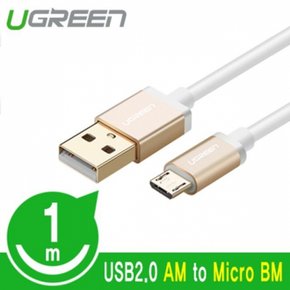 유그린 골드 USB2.0 2in1 1m X ( 2매입 )