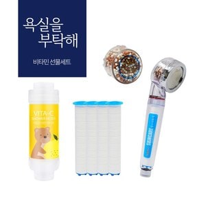 스킨케어샤워기+리필필터4개입+염소제거볼+비타민필터 선물세트 -잔류염소제거,녹물제거