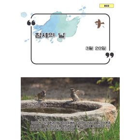 참새의 날 참새의날 책