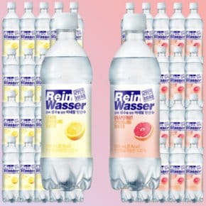 라인바싸 레몬 자몽 탄산수 500ml x20개1+1 총40개