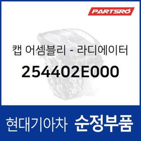 가솔린 차량 전용 순정 냉각수통 캡 뚜껑 (리저버탱크 부동액통) (254402E000) 투싼, 스포티지