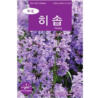  히솝 허브 씨앗 200립