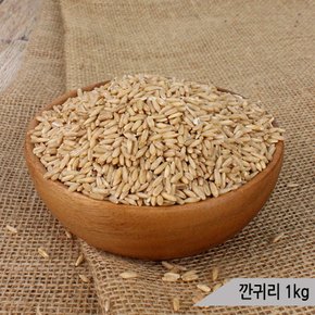 건강알곡 깐귀리 1kg 앵무새 햄스터 영양간식 사료