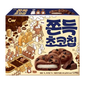 청우 쫀득초코칩 240g x 10개