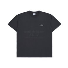 BASIC LOGO SEASON2 SHORT SLEEVE T-SHIRT CHARCOAL베이직시즌2 차콜 SSLBSN-CHA