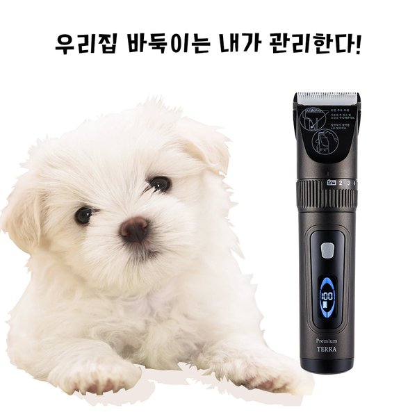 확대된 대표 상품이미지1