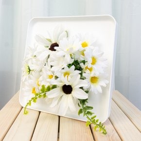 액자형 디자인화분 스칸디아모스 화분 미니화분