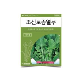 베하몰 텃밭 채소 씨앗 조선토종 열무