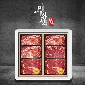 1+등급 특선 숙성한우 멀티박 선물세트 8호(꽃등심3팩+채끝2팩+안심1팩)총 1.2kg/팩당 200g/냉장