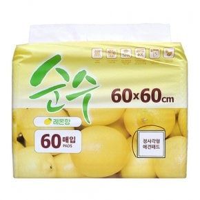 순수 대형 정사각패드 60매