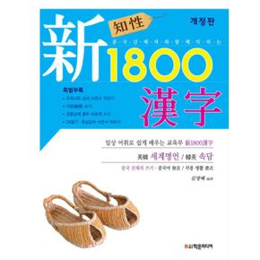 지성 신 1800 한자 : 개정판