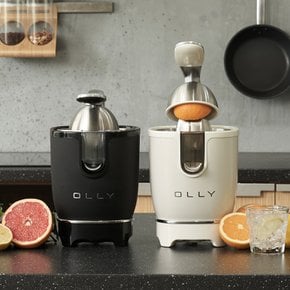 올리 스테인레스 콘 착즙기 OLJ04