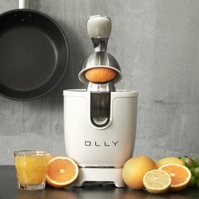 올리 스테인레스 콘 착즙기 OLJ04