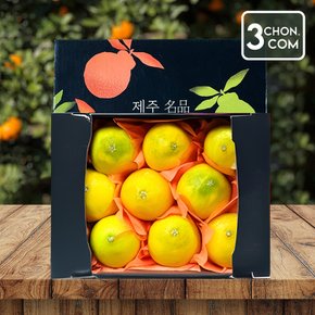 달콤함이 입안 가득 퍼지는 명품제주 프리미엄 황금향 선물세트 1.5kg 중과