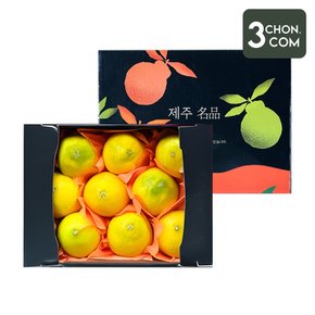 달콤함이 입안 가득 퍼지는 명품제주 프리미엄 황금향 선물세트 1.5kg 중과