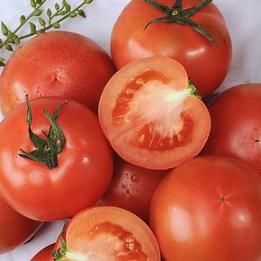 완숙 찰토마토 2kg 사이즈랜덤 나주농산