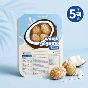 코코넛 고구마 미니볼 달콤바삭 한입 아이스 간식 우주고구마 코코넛맛 80g*5팩