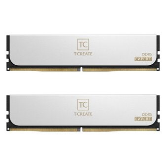 아이코다 팀그룹 T-CREATE DDR5 48GB PC5-57600 CL34 EXPERT 패키지 메모리 화이트 (24Gx2)