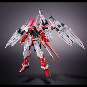 BANDAI MG 1100 건담 아스트레이 레드 드래곤