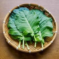 산해직송 유기농 무농약 즙용 케일 1kg