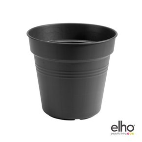 [엘호 elho] 그린베이직 그로우팟 다용도화분(15cm)