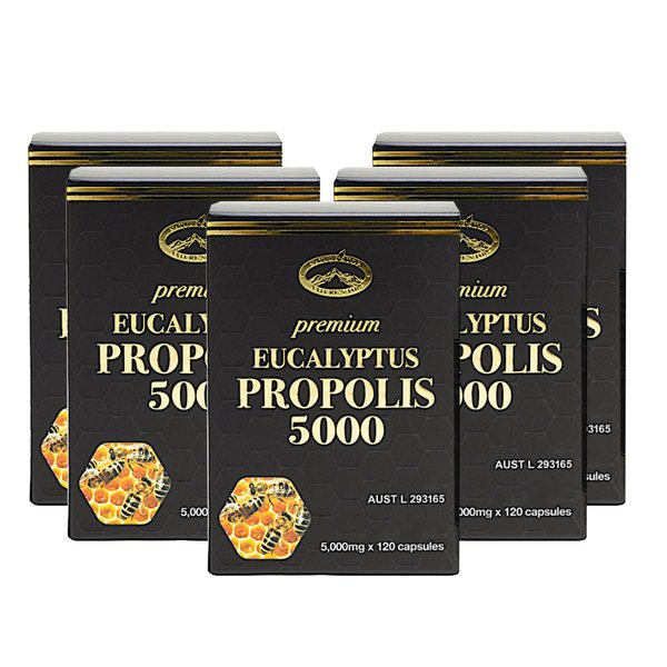 호주 네이쳐스탑 유칼립투스 프로폴리스 5000mg 120캡슐 5개