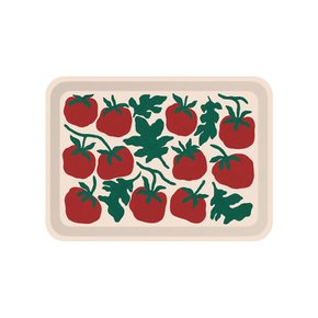 트레이 Tomatoes  - S size / 리브 리