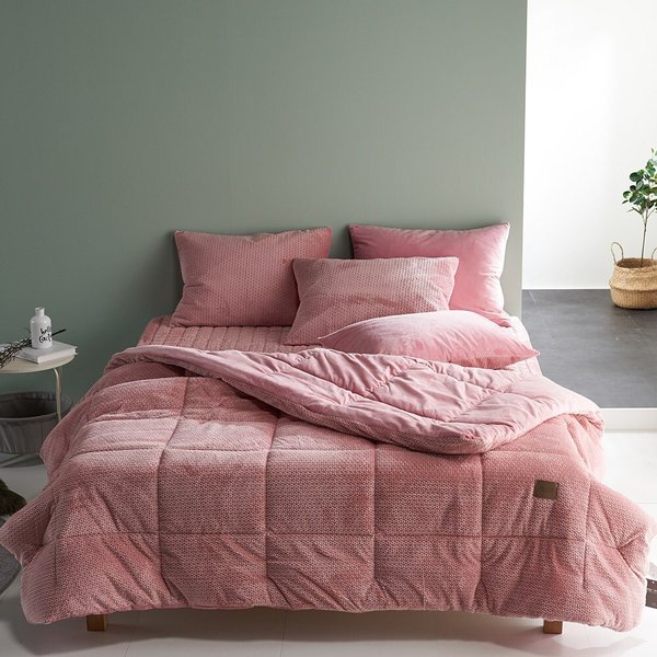 아밍 에디스 착번 극세사 차렵이불 S 베개세트