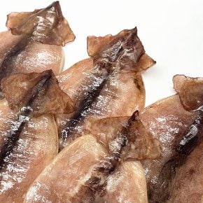 동해안 햇 반건조오징어 10마리(왕특대) 2kg 마른오징어