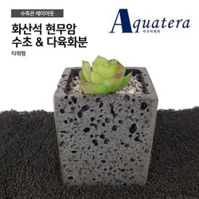 아쿠아테라 화산석 현무암 수초 다육화분 타워 8*6*12CM