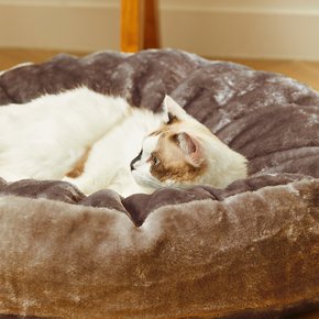 강아지 고양이 플러시 방석 브라운