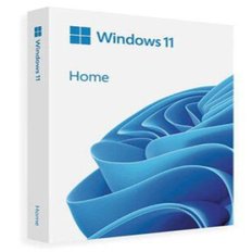 MS WINDOWS 11 HOME ENGLISH USB  FPP PKG(영문버젼 처음사용자용)