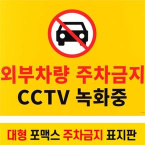 대형 포맥스 주차금지 CCTV녹화 표지판 팻말 안내판 (S8731091)