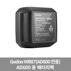 WB87 리튬이온 배터리 AD600BM 전용 가우포토 공식정품