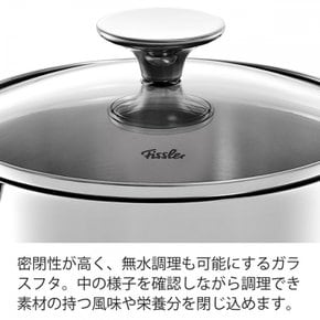 (Fissler) 16cm20cm24cm 20cm 16cm 16cm20cm24cm 005 휘슬러 냄비 세트 스테인레스 냄비