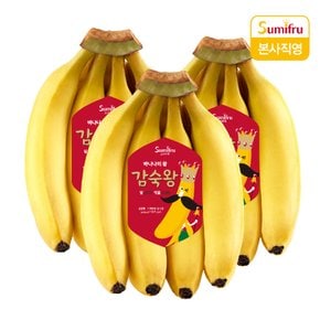 감숙왕 바나나 2.4kg (총 3개)