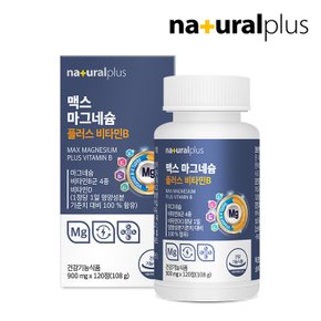 [공식] 내츄럴플러스 맥스 마그네슘 플러스 비타민B 120정 2박스(총8개월분) / 비타민D 대용량