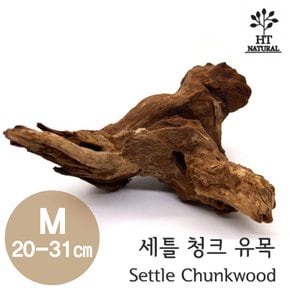 세틀 청크유목 M (20-31cm)