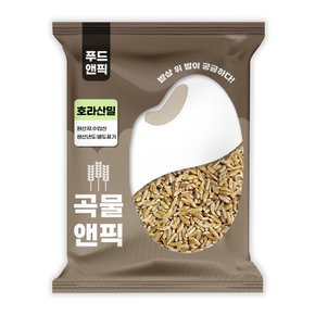 25년 수입 호라산밀 1kg 밀쌀 고대곡물