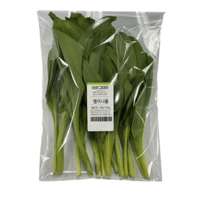 명이나물 150g