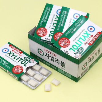 너만아는과자점 롯데제과 롯데껌 자일리톨 오리지날 16g x12개