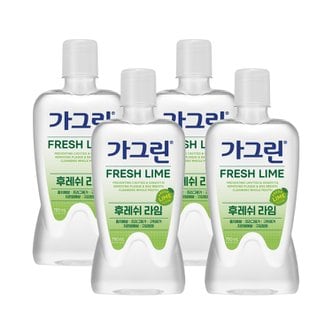 너만아는잡화점 동아제약 가그린 후레쉬 라임 750ml x 4개 / 구강청결제 가글