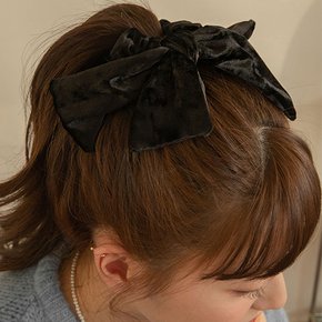 H206 Velvet Soft Scrunchie