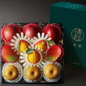 [SSG 정담] Premium 애플망고 한라봉 혼합 선물세트 (사과3개, 배3개, 애플망고2개, 한라봉3개)